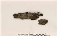 藏品(泡沫類黃髓梅衣)的圖片